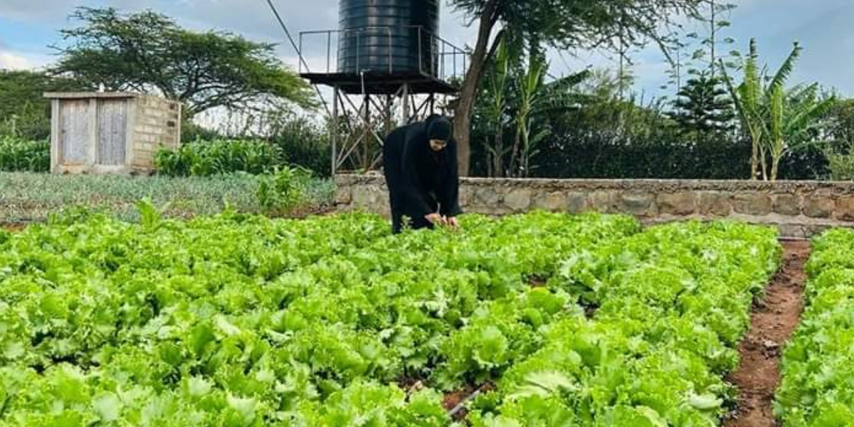 Farmers Sensitization in Mandera