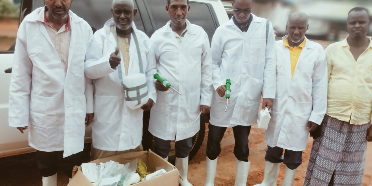 Mandera North Animal Vaccination